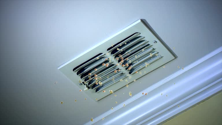 Best Best Air Duct Cleaning Company  in Diablo Grande, CA